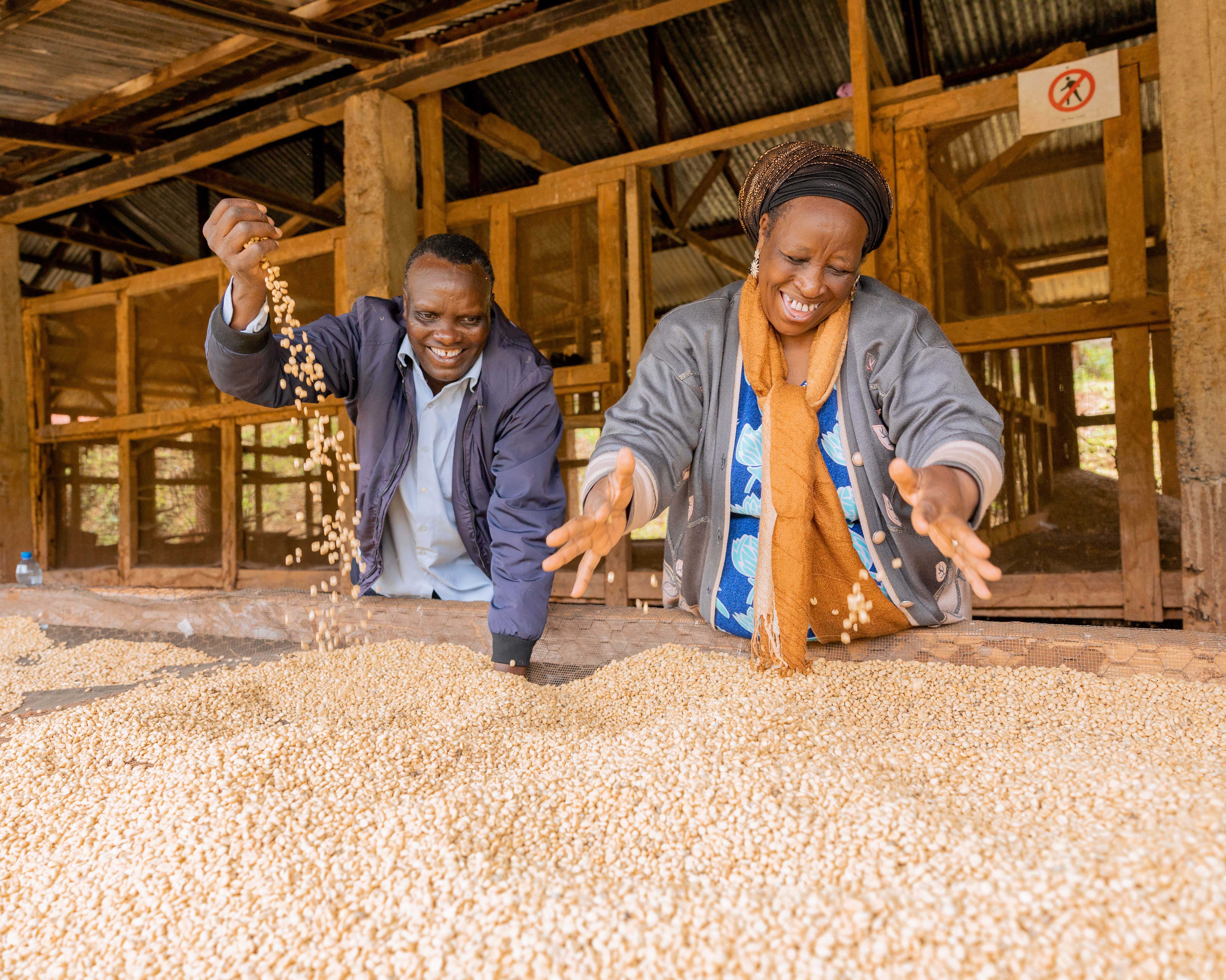 The Story of Kahindu Coffee: From Murang’a to Your Cup - Artcaffé Restaurant