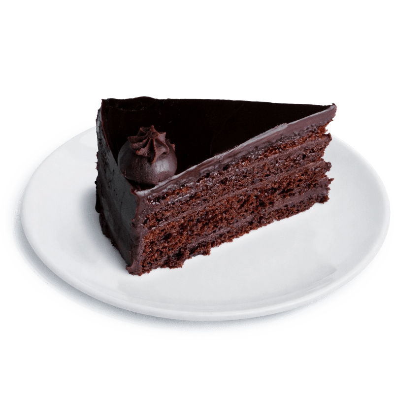 Chocolate Fudge Cake Slice