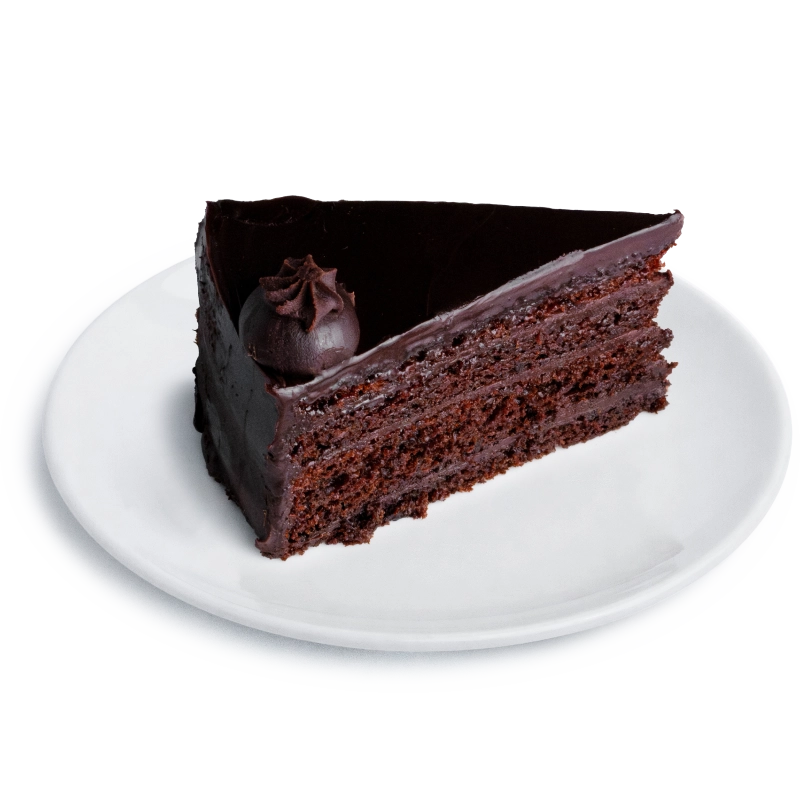 Chocolate Fudge Cake Slice