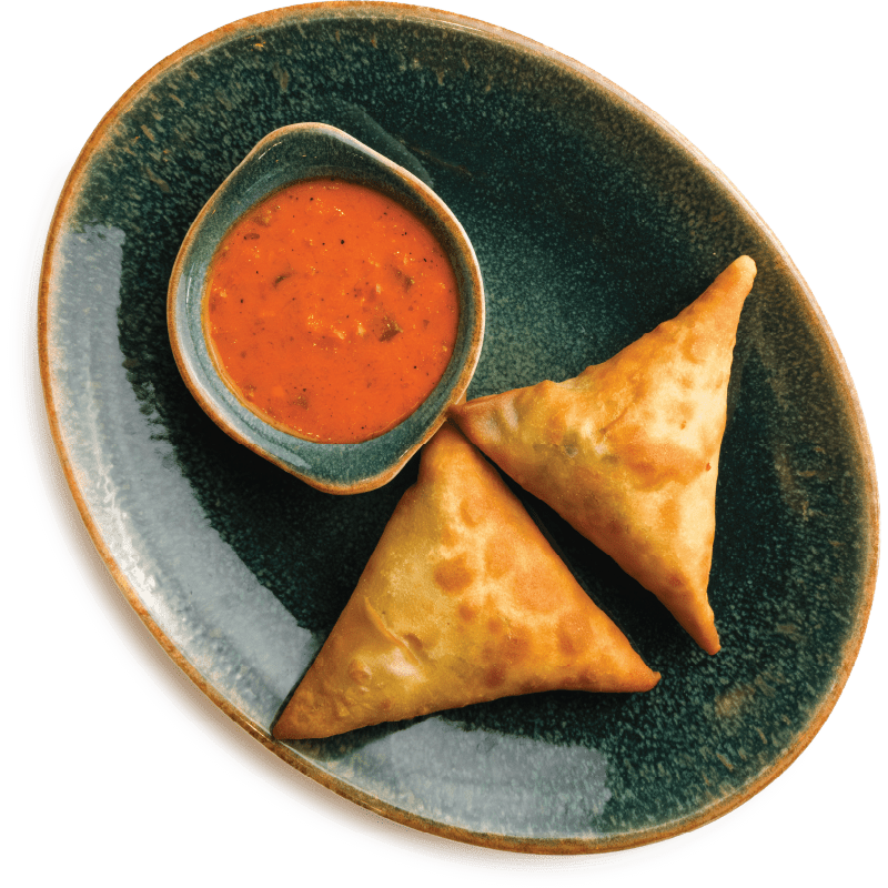 House Samosa
