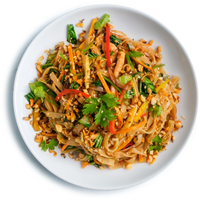 Silk Route Chicken Noodles - Artcaffé Restaurant