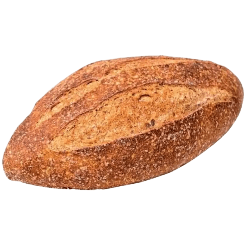 Whole Wheat Bread